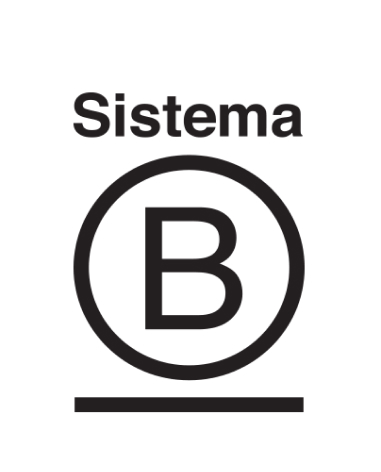 logo sistema B